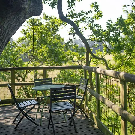 Les Noctam'bulles - Dans Les Arbres Saint-Pierre-Azif