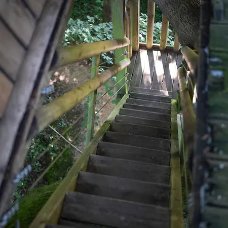 Les Noctam'bulles - Dans Les Arbres Saint-Pierre-Azif