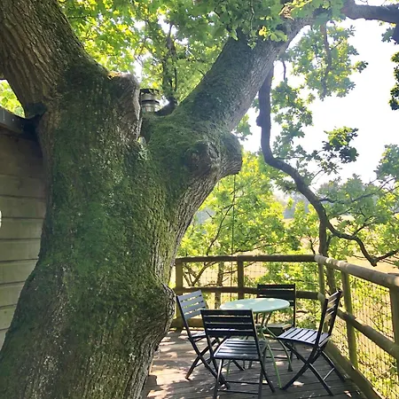 Les Noctam'bulles - Dans Les Arbres Lodge Saint-Pierre-Azif