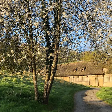 Les Noctam'bulles - Dans Les Arbres *