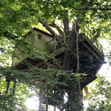 Les Noctam'bulles - Dans Les Arbres * Saint-Pierre-Azif